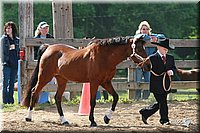 4H-Fun-Show-2006-0059.jpg