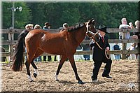 4H-Fun-Show-2006-0060.jpg