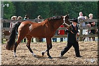 4H-Fun-Show-2006-0061.jpg