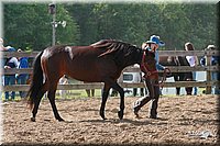 4H-Fun-Show-2006-0064.jpg