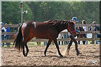 4H-Fun-Show-2006-0065.jpg