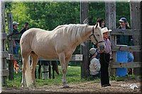 4H-Fun-Show-2006-0068.jpg