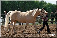 4H-Fun-Show-2006-0073.jpg