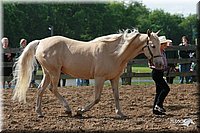 4H-Fun-Show-2006-0074.jpg