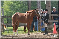 4H-Fun-Show-2006-0075.jpg