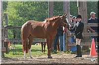 4H-Fun-Show-2006-0076.jpg