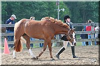 4H-Fun-Show-2006-0078.jpg