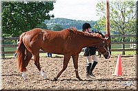 4H-Fun-Show-2006-0080.jpg