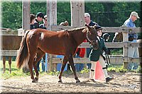 4H-Fun-Show-2006-0087.jpg