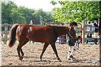 4H-Fun-Show-2006-0089.jpg