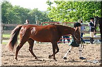 4H-Fun-Show-2006-0090.jpg