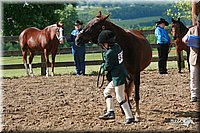 4H-Fun-Show-2006-0094.jpg