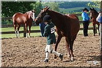 4H-Fun-Show-2006-0095.jpg