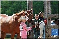 4H-Fun-Show-2006-0096.jpg