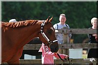 4H-Fun-Show-2006-0100.jpg