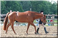 4H-Fun-Show-2006-0113.jpg