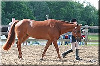 4H-Fun-Show-2006-0114.jpg