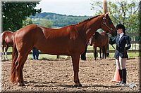 4H-Fun-Show-2006-0116.jpg