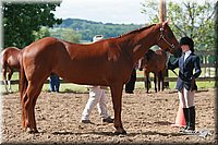 4H-Fun-Show-2006-0117.jpg