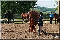 4H-Fun-Show-2006-0118.jpg