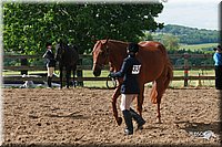 4H-Fun-Show-2006-0121.jpg