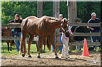 4H-Fun-Show-2006-0122.jpg