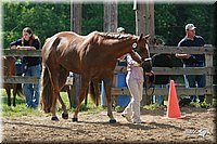 4H-Fun-Show-2006-0123.jpg