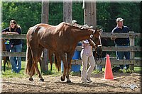 4H-Fun-Show-2006-0124.jpg