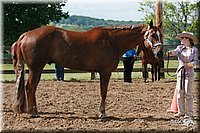 4H-Fun-Show-2006-0126.jpg