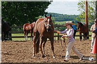 4H-Fun-Show-2006-0127.jpg