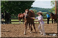 4H-Fun-Show-2006-0128.jpg