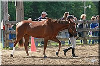 4H-Fun-Show-2006-0131.jpg