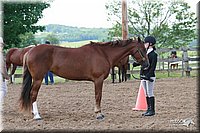 4H-Fun-Show-2006-0134.jpg