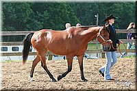 4H-Fun-Show-2006-0135.jpg