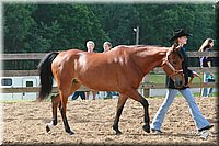 4H-Fun-Show-2006-0136.jpg