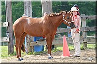 4H-Fun-Show-2006-0138.jpg