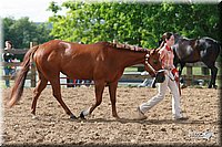 4H-Fun-Show-2006-0139.jpg