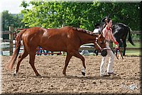 4H-Fun-Show-2006-0140.jpg