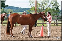 4H-Fun-Show-2006-0141.jpg