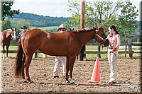 4H-Fun-Show-2006-0142.jpg