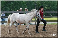 4H-Fun-Show-2006-0144.jpg