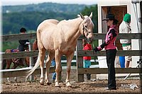 4H-Fun-Show-2006-0145.jpg