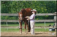 4H-Fun-Show-2006-0146.jpg