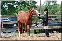 4H-Fun-Show-2006-0154.jpg