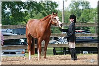 4H-Fun-Show-2006-0155.jpg