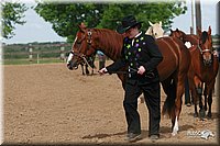 4H-Fun-Show-2006-0184.jpg