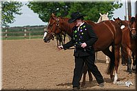 4H-Fun-Show-2006-0185.jpg