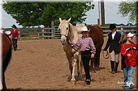 4H-Fun-Show-2006-0189.jpg