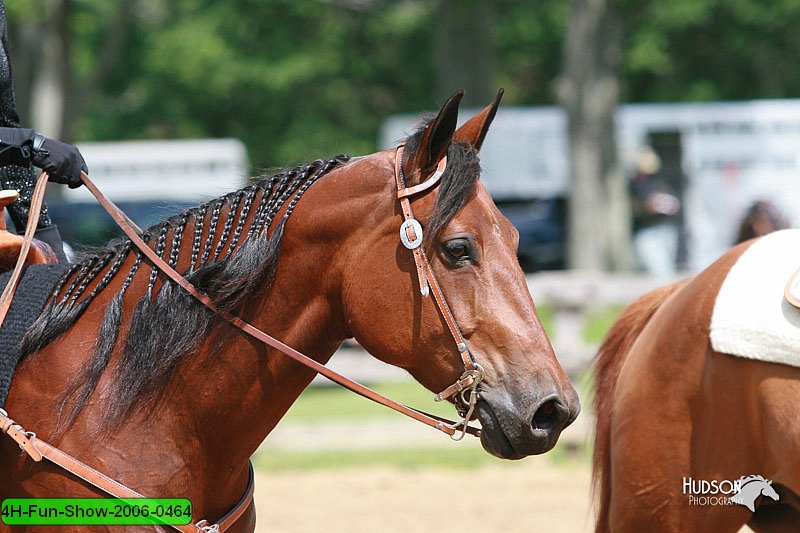 4H-Fun-Show-2006-0464.jpg