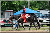 4H-Fun-Show-2006-0363.jpg